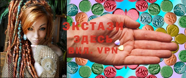 индика Покачи