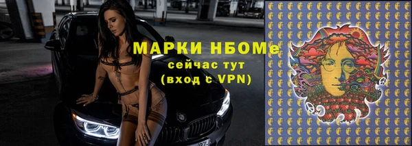 индика Покачи